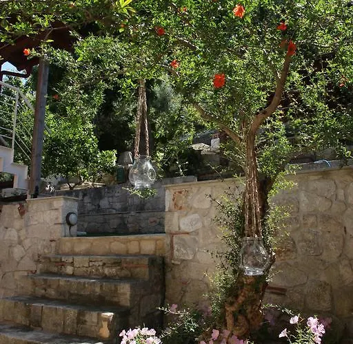 Πανσιόν The House - & (adults Only) Άφυτος