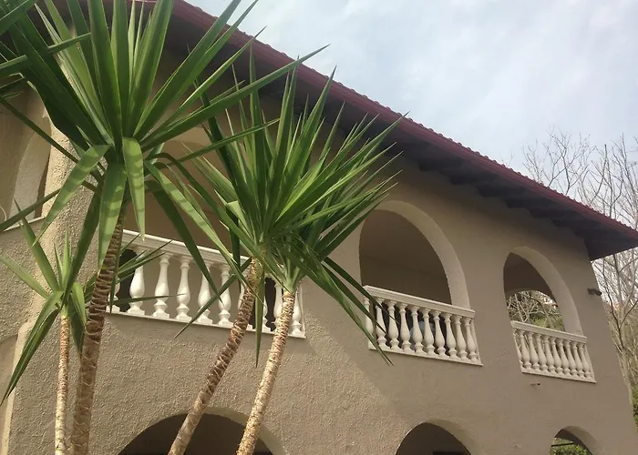 The House - & (adults Only)