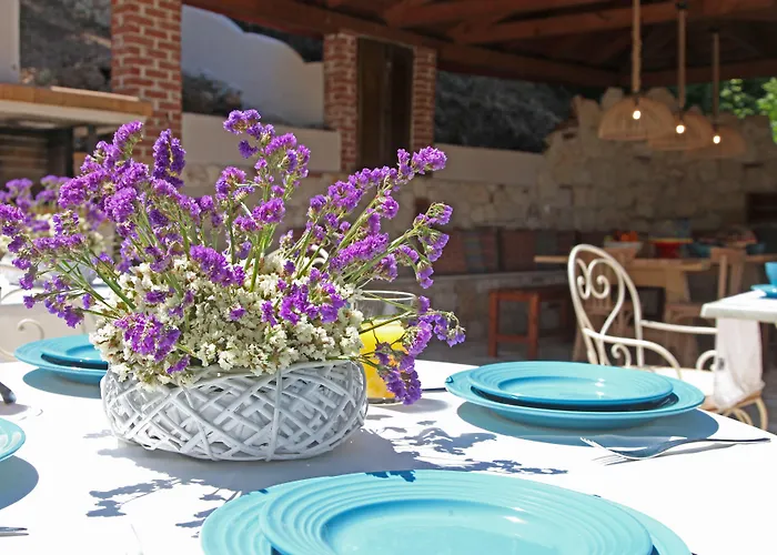 The House - & (adults Only) 3*