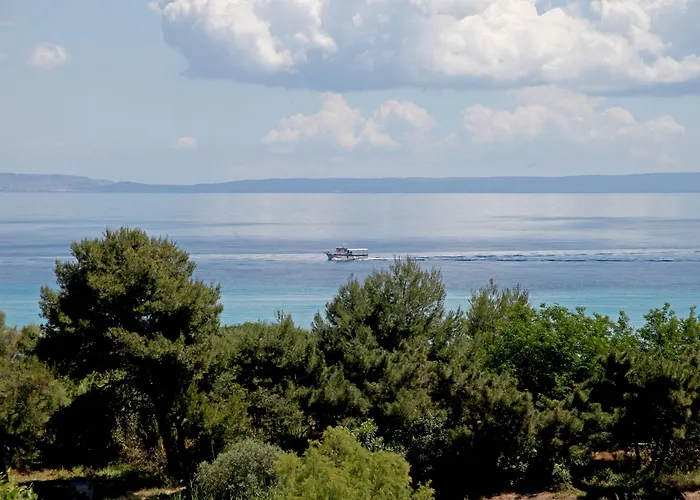 The House - & (adults Only) Pensjonat